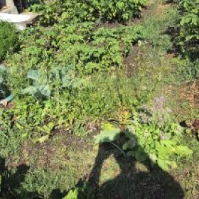 Beet4Vielfalt 2026-06-30 10.22.